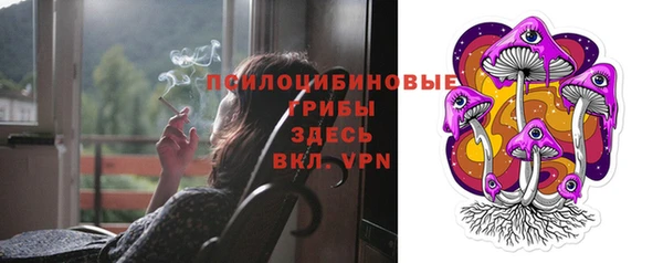 спиды Билибино