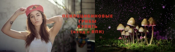 стафф Абинск