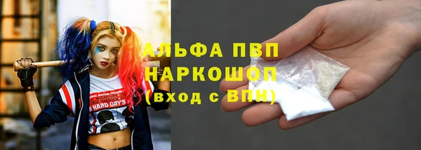 шишки Абаза