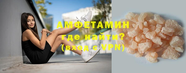 шишки Абаза