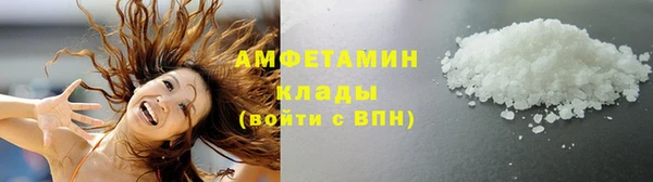 шишки Абаза