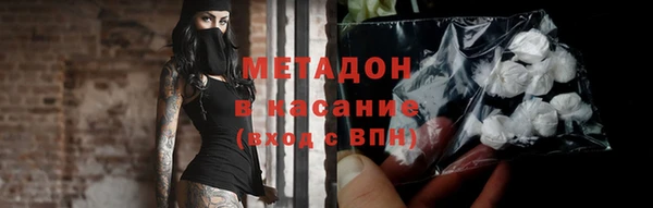 шишки Абаза